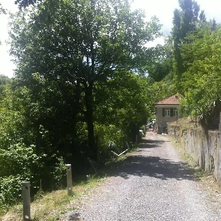 Gioia * Акви Терме
