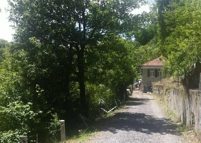 Gioia * أكوي تيرمي